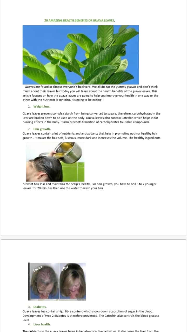 Amazing benefits of guava leaves to your health.